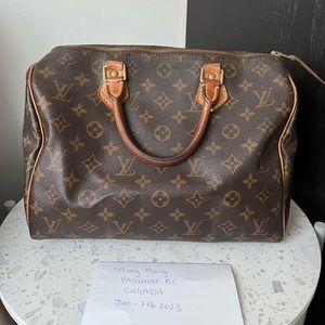 Louis Vuitton Speedy 30 monogram
